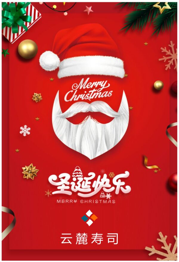 merry christmas post